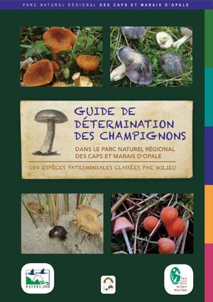 Guidechampignonsdu Parc