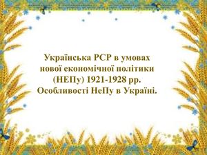 нова економічна політика