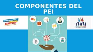 Componentes Del Pei