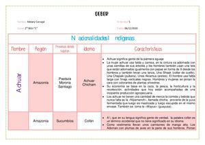 Nacionalidades Del Ecuador Cuadro Comparativo