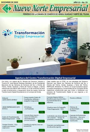 Periodico Oficial Nuevo Norte Empresarial Edicion Diciembre De 2020