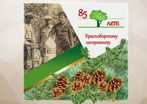 Красноборский ЛПХ: вехи истории