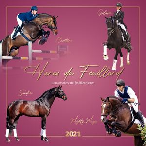 Catalogue 2021 des Etalons du Haras du Feuillard