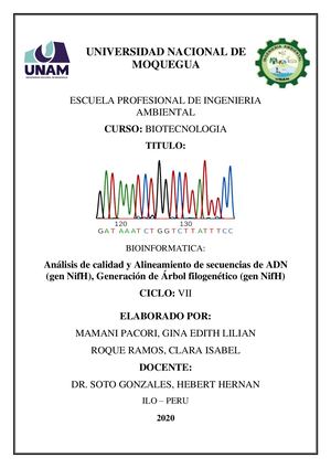 Análisis de calidad y Alineamiento de secuencias de ADN, Generación de Árbol filogenético (gen NifH)