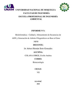 Bioinformática Calidad Y Alineamiento De Secuencias De Adn Y Generación De Arboles Filogenéticos En Base Al Gene Nifh