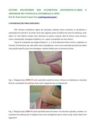 Calameo Anatomia Palpatória 5