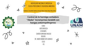 Mapa Conceptual Control De La Hormiga Cortadora “Akeke” Acromyrmex Landolti Con Hongos Entomopátogenos