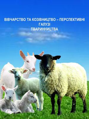 ВІВЧАРСТВО ТА КОЗІВНИЦТВО – ПЕРСПЕКТИВНІ ГАЛУЗІ ТВАРИННИЦТВА