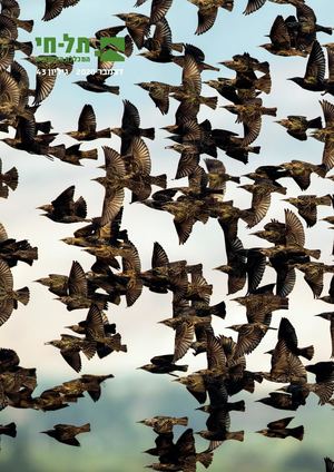 מגזין תל חי | גיליון 43