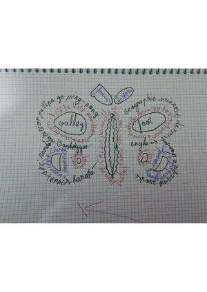 PORTFOLIO FLE 5A PRIMER TRIMESTRE