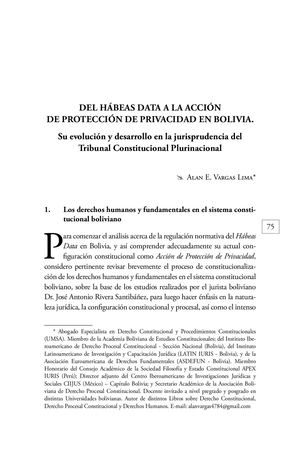 Del Hábeas Data a la Acción de Protección de Privacidad en Bolivia (2020)