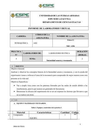 Informe De Intensidad Sonora Y Resonancia