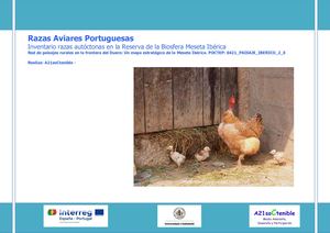 Gallinas Portugal Rbmi
