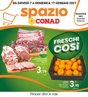 2101A SPAZIO Tolentino