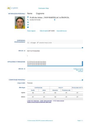 Cv Europass 3e 3f Modello Italiano Doc Open Office Modifie 2018 Copie