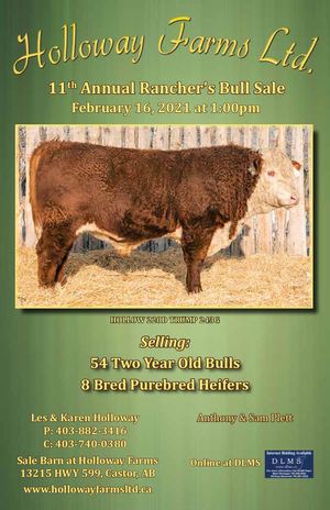 Holloway 2021 Bull Sale Catalogue