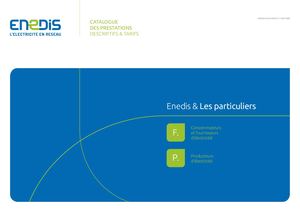 Catalogue des prestations Enedis