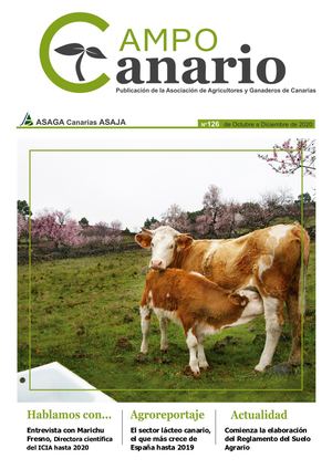 Campo Canario. Revista 126