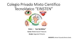 Los sentidos Segundo Primaria.
