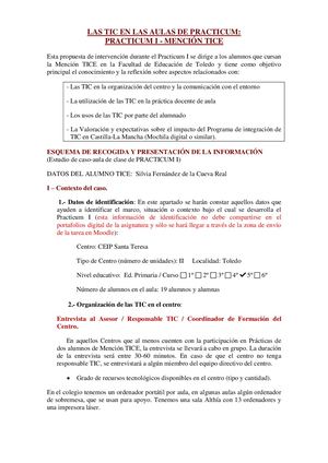Ficha Practicum Tice Uclm Silvia Fernández De La Cueva Real