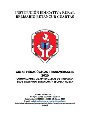 Guias Primaria 2020 Ierbbc