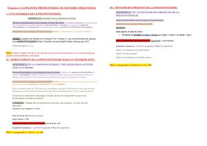 Tspé Th 2a2 Plante Productrice Mo Plan