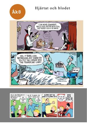 Arbetshäfte Hjärtat Och Lungor 8a Och 8c Skrivbar 2020