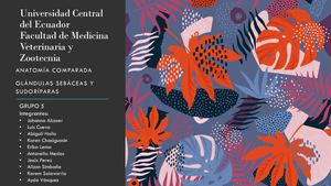 Grupo5 Glándulas Sebáceas y Sudoríparas