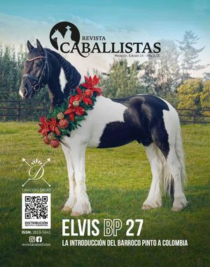 Demo_ Revista Caballistas