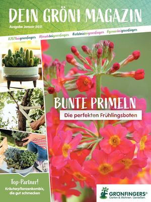 Paradies Garten 1/2021 Grönfingers