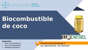 Biodiesel De Coco