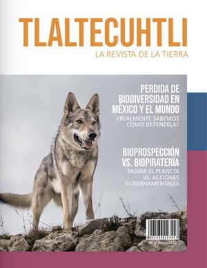 Revista Tlaltecuhtli