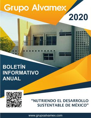 Boletín De Actividades Grupo Alvamex 2020