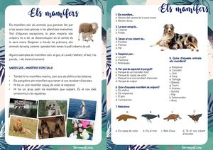 Petites Comprensions Lectores - Els Vertebrats