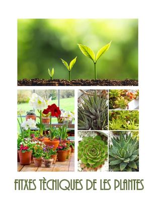 FITXES TÈCNIQUES DE LES PLANTES