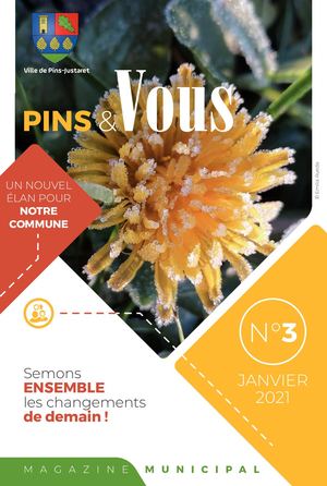 Pins Justaret Journal Municipal N°3