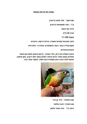 דויד.