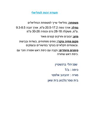 יהלי.