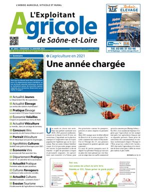 Journal Du 15 Janvier 2021