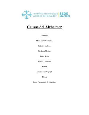Causas Del Alzheimer