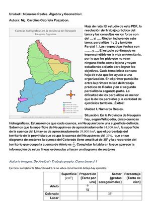 Unidad I. Números Reales. Teoria. Álgebra y Geometría I.