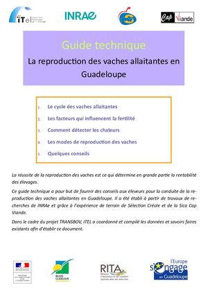 Guide technique La reproduction des vaches allaitantes en Guadeloupe