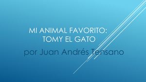 Juan Andres Tensano Abaunza