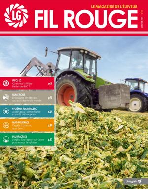 Fil Rouge n°28 - Décembre 2020