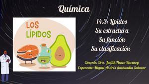 14 3 Lípidos Su Estructura Su Función Su Clasificación
