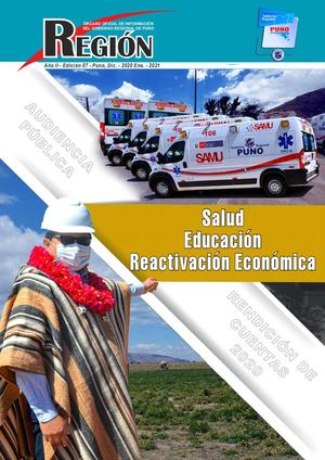 GOBIERNO REGIONAL PUNO