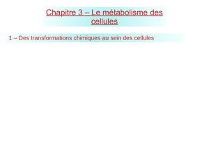 Ch3 Le Métabolisme Des Cellules