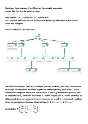 Unidad: Matrices y Determinantes. Álgebra y Geometría 1. Ingenierías.