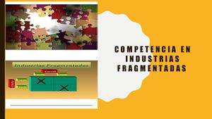 Competencia En Industrias Fragmentadas