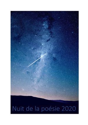 Nuit De La Poesie / La petite lettre poétique / Annecy (1)